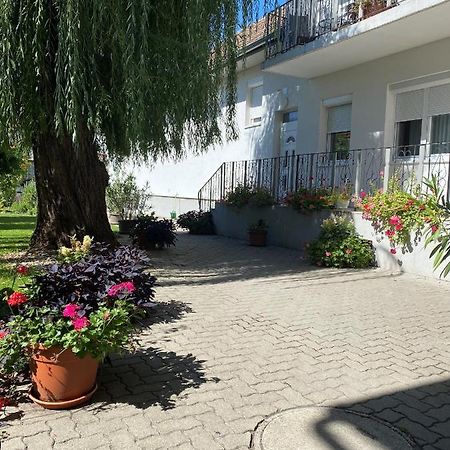 Gaestehaus & Weingut Klein إلميتز المظهر الخارجي الصورة