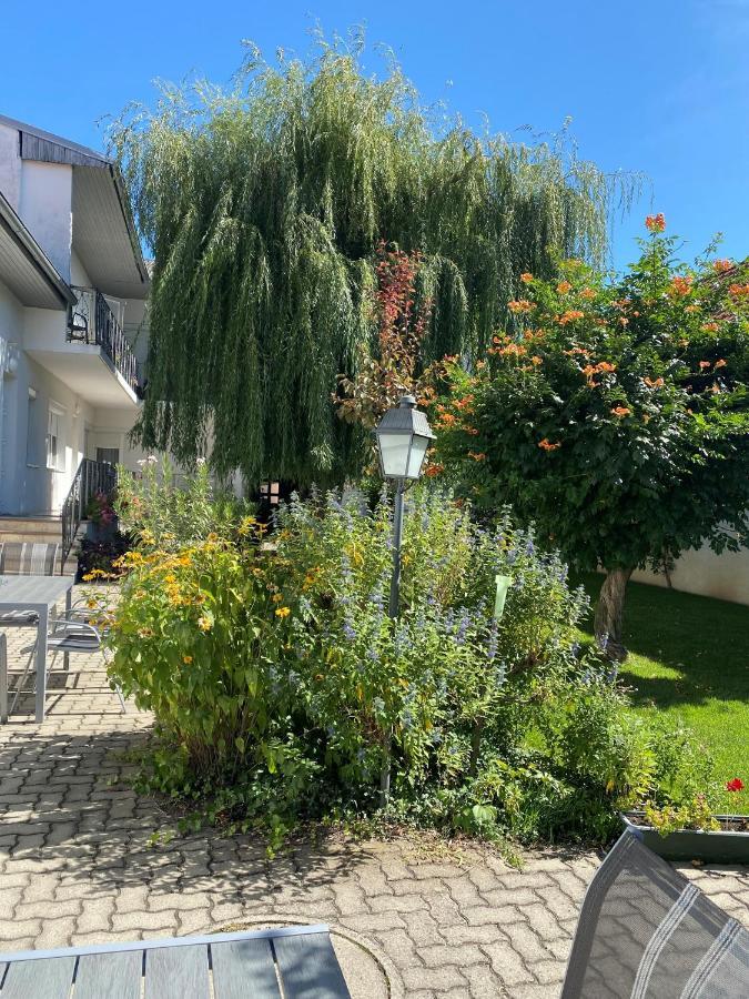 Gaestehaus & Weingut Klein إلميتز المظهر الخارجي الصورة